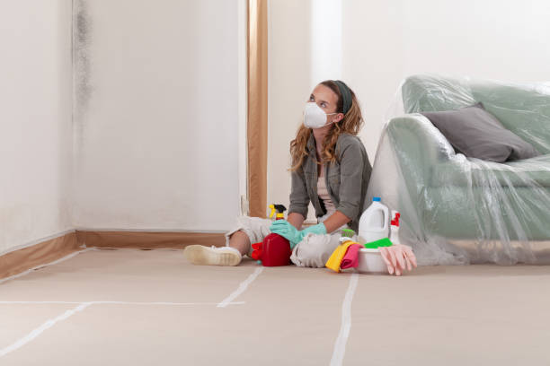 Reliable Mold Remediation contractor in Belford, NJ by Cheap Mold Removal